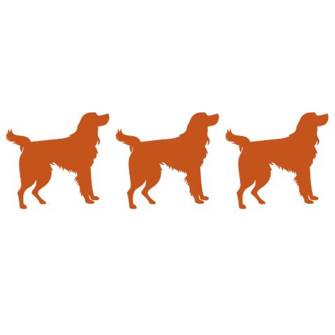 How Many Dogs on 1 Track?