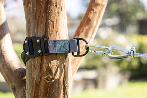 Tree Straps