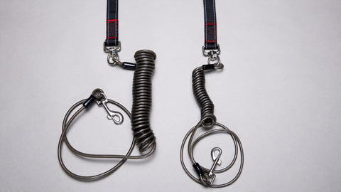 Chew-Resistant Leash