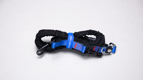 6ft Bungee Leash