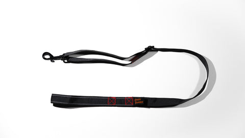 Adjustable 4 ft Leash for dogs