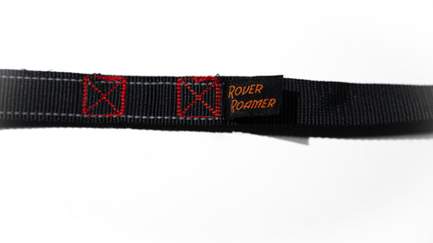 Adjustable 4 ft Leash for dogs